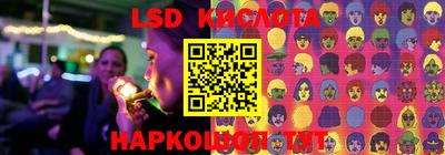 ПСИЛОЦИБИНОВЫЕ ГРИБЫ Донской