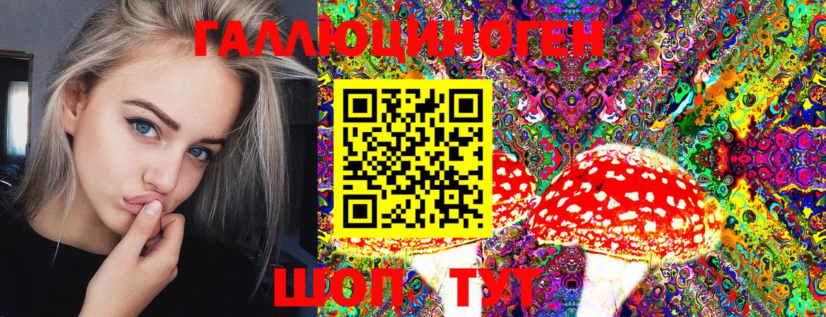 Псилоцибиновые грибы Psilocybine cubensis  Псилоцибиновые грибы Psilocybine cubensis  что такое наркотик  Вход с VPN  Михайловка 